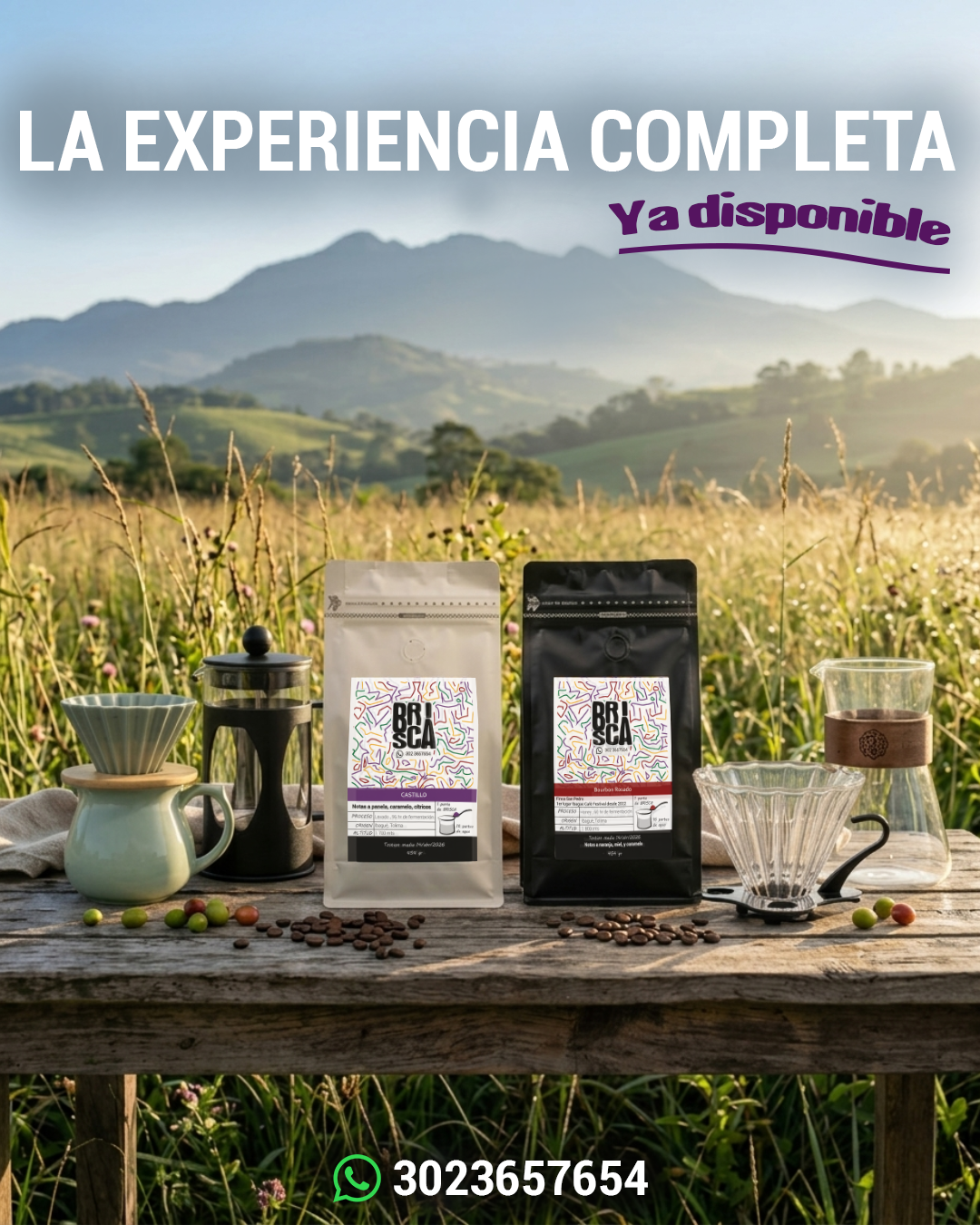 Publicación de redes sociales 5 de café BRISCA